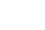 A logo of the toronto raptors is shown.
