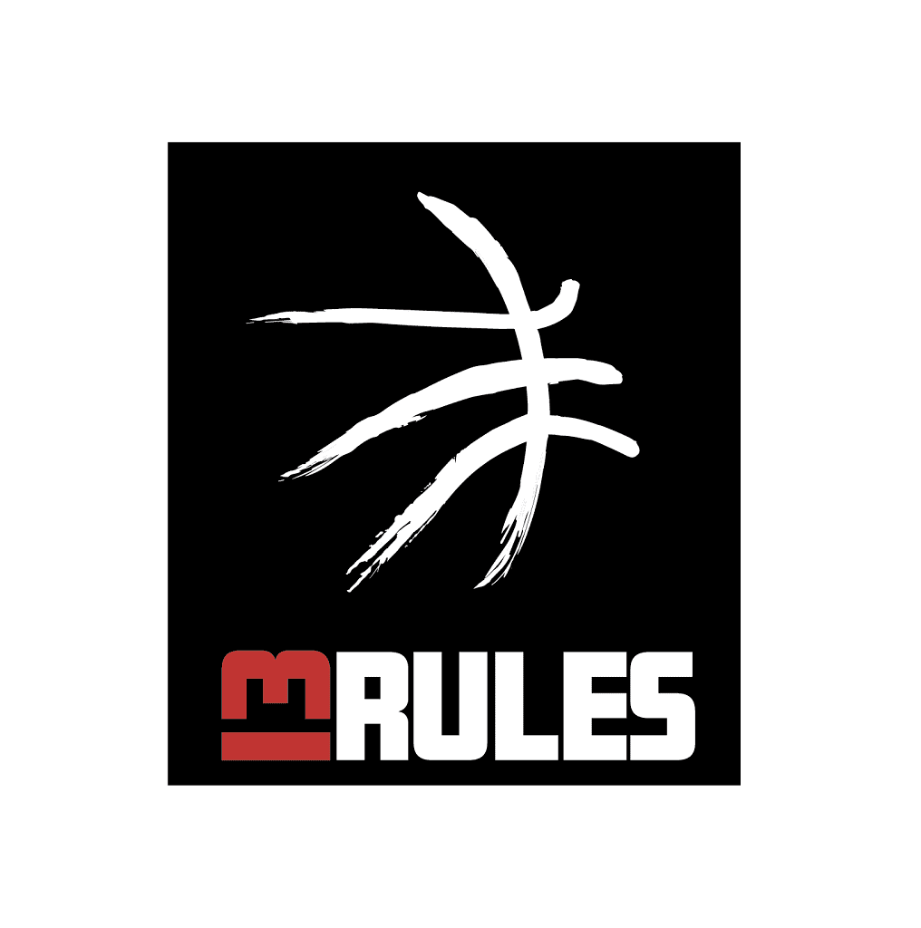 13 RULES logonew